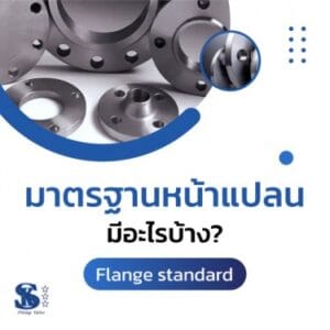 Flange Standards