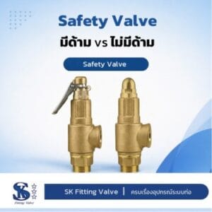 Safety Valve With Lever vs Without Lever: Key Differences Explained