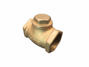 Check valve