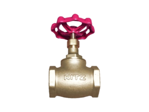 Globe valve