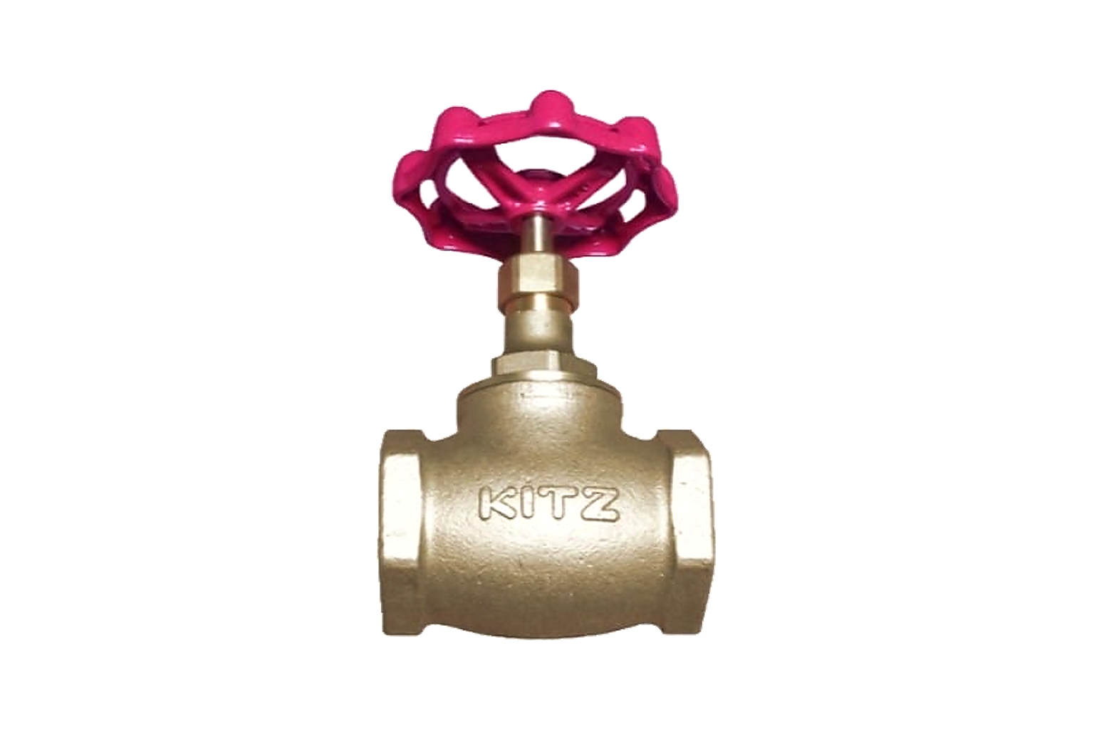 Globe valve