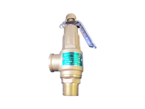 Safety valve