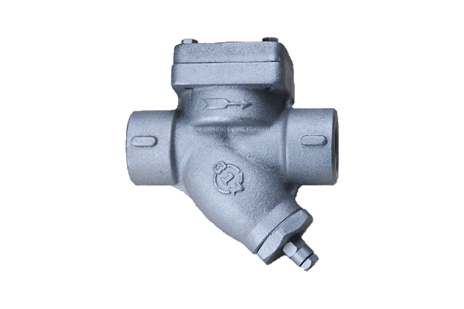 Steam trap